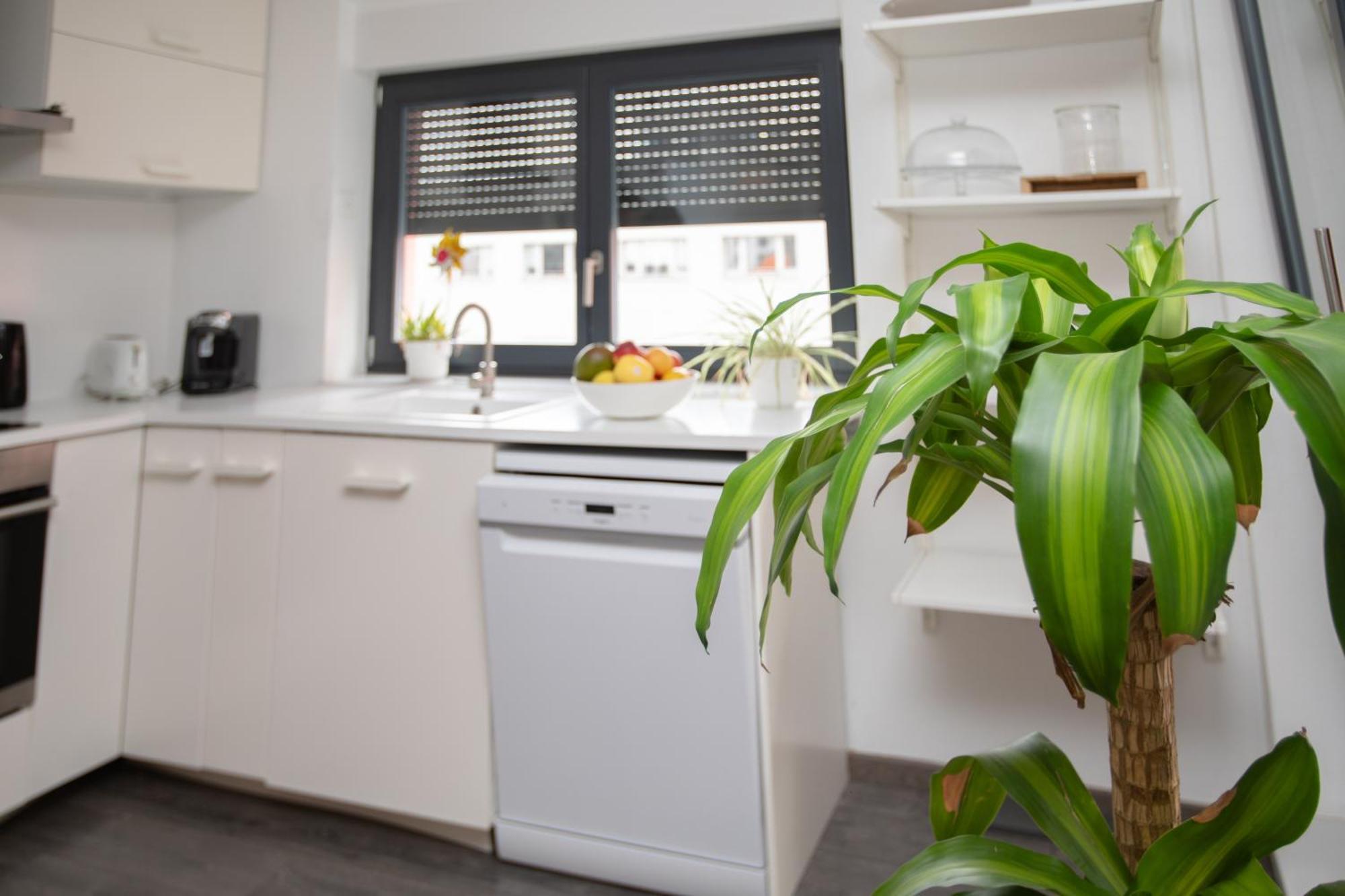 Appartement Moderne Au Centre